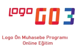Logo Go Programı Nasıl Kullanılır